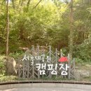 과천 서울대공원 피그닉 예약석 9번 솔직후기