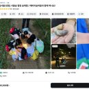 어린이날 연휴 아이와 함께 힐링! 미취학 아동부터 초등학생까지 강추! (feat. 깨비의숲마을 /숲체험 예약)
