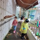 예초자연어린이집 이미지