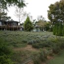 그레이스 키친 이미지