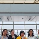 테라메딕스 이미지