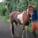 활보농장 이미지