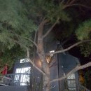 꿈길속에펜션 이미지