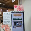 도우미꽃식물원 이미지