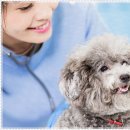 아담스펫 강아지분양 고양이분양 인천본점 이미지