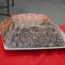 금남중학교 이미지