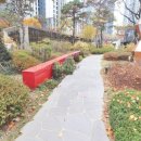 축구장 옆 화단 이미지