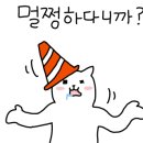 홍게양대게군 이미지