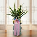 이지플라워 이미지