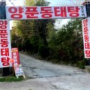 얼큰 양푼집 이미지