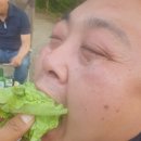 세진바이크 이미지