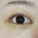 미미하우스 이미지