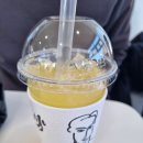 카페쉼표 | 고흥 거금도비단둘레길 옆 명품 오션뷰카페 l 쉼표 내돈내산 방문후기