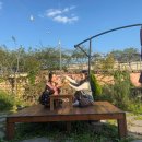 밀양 빨간지붕 | 🌿 경남 밀양 감성 숙소 [빨간 지붕] 촌캉스 힐링여행 후기