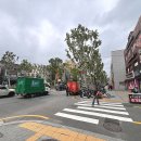 동강염소탕 이미지