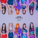 더비디 이미지