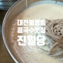 대전 봉명동 국물이 진한 콩국수 찐맛집 진월당