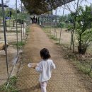 환영농장 | 🐥 주말 나들이 추천! [파주 나눔농장] 아이들과 다녀온 후기 (내돈내산)