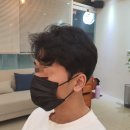 자연애견미용실 이미지