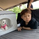 하늘연캠핑장 네이버블로그