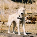 멍나들이 이미지