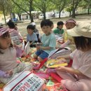 한국체대 봄 태권도장 이미지