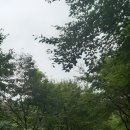 남한강자전거길 13 이미지