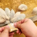 오정농장 이미지