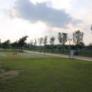 대덕구 산호빛 공원 이미지