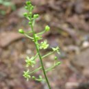 여로민박 이미지