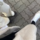 에비뉴나인호텔 이미지