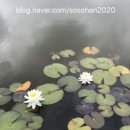 오크라리조트 이미지