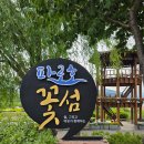 양구가볼만한곳 * 파로호꽃섬 민츄 chew😍