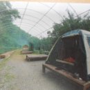 민주지산자연휴양림야영장 이미지