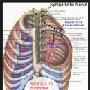 slipping ribs syndrome(티에체 증후군)의 진단과 수기치료법 이미지