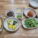 솔거리추어탕