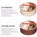 빅써클 이미지