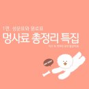 반려견 사료 총정리 2편. 반려견 사료 성분표 보는 법 feat 고양이털밀기
