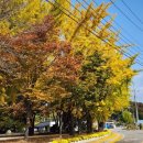 대률초등학교 이미지