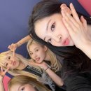 모모그린 이미지