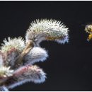 나의아름다운세탁소 이미지