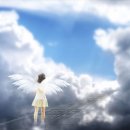 엠제이오퍼 이미지