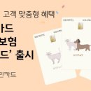 마이펫 이미지