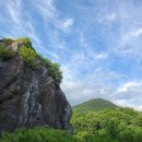 월드니스 이미지