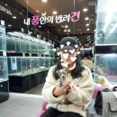 내 품안의 반려견(강서점) 이미지