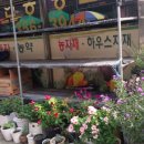 한농종묘 이미지