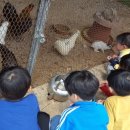 가온농장2 이미지