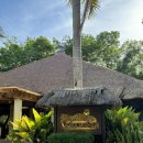 (주)루안디자인 | 클럽 bbc리조트 내돈내산 찐후기 보홀 숙소 추천 / 두말루안 비치 / bbc 레스토랑 아고타타 조식,디너 후기