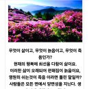 동해선 KTX-이음열차에서 상념에 젖다 이미지