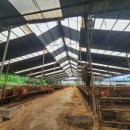 태양축사 이미지